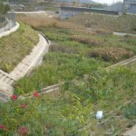 Drainage Services Department, village flood protection works